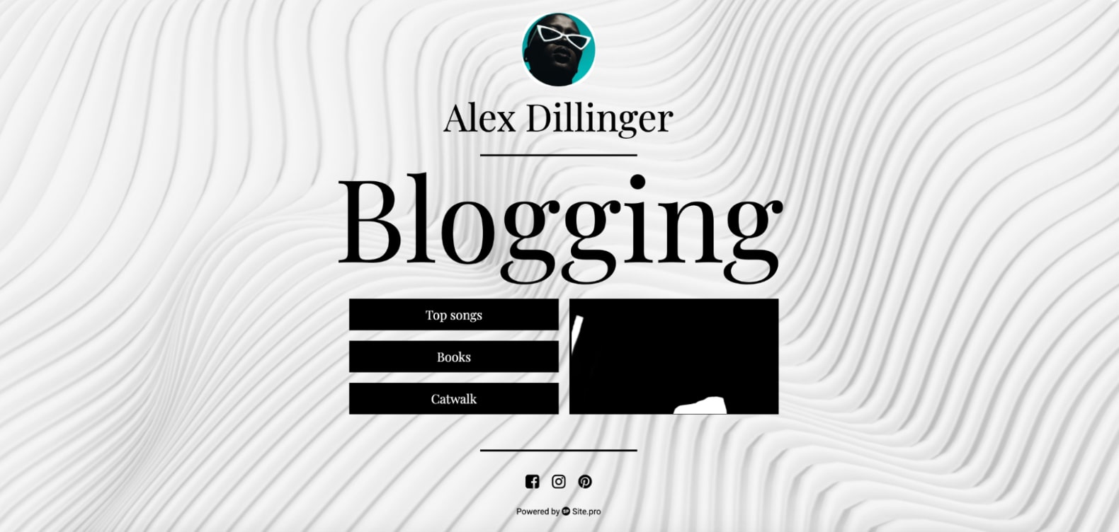 Example of a monochrome website
